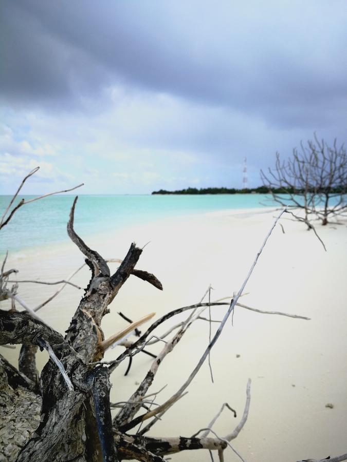 Penzion Evila - Thoddoo